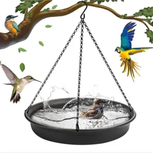 Abreuvoir d'eau pour oiseaux