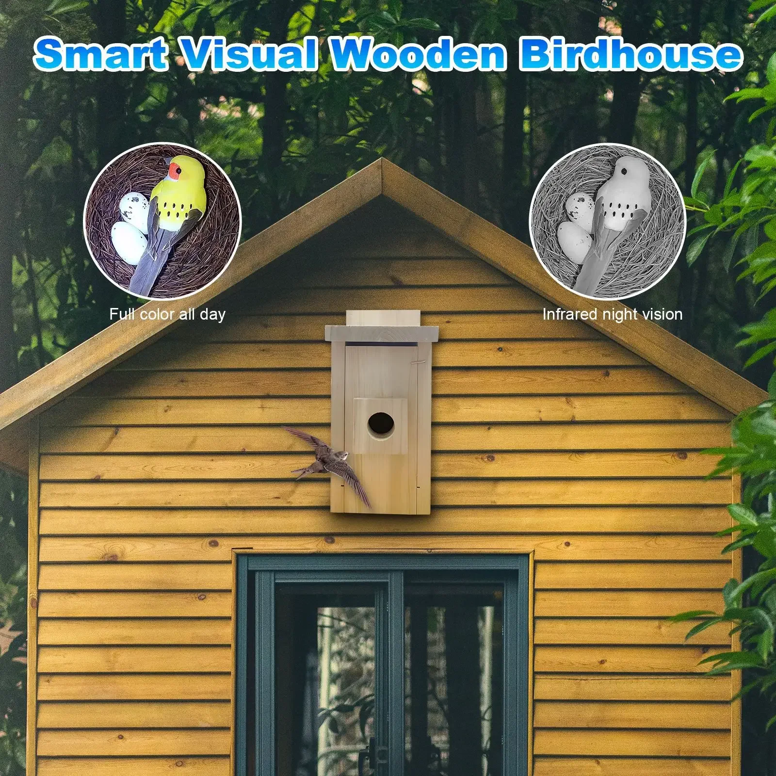 Maison-d-Oiseaux-Intelligente-en-Bois-Visible-Nid-d-Oiseau-Pixel-HD-T-l-phone-Portable-1.webp