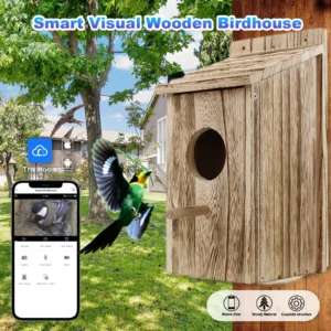 Nichoir intelligent en bois avec caméra HD